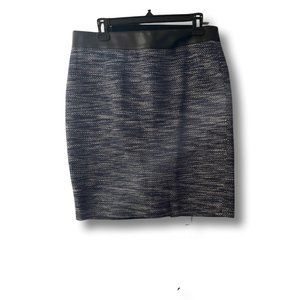 Ann Taylor Knit Skirt